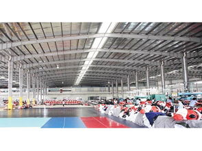 鋼結構工程應用與東莞市振晟鋼結構建設工程概覽